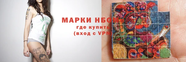 Альфа ПВП Няндома