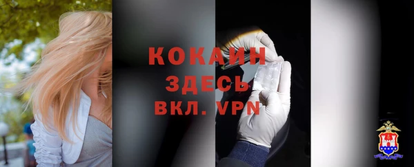 дмт Нягань