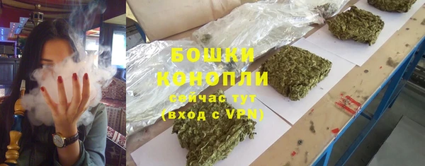 сатива Волосово