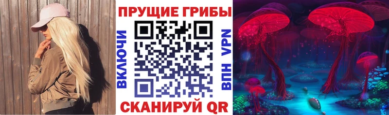 Псилоцибиновые грибы ЛСД  Новохопёрск 
